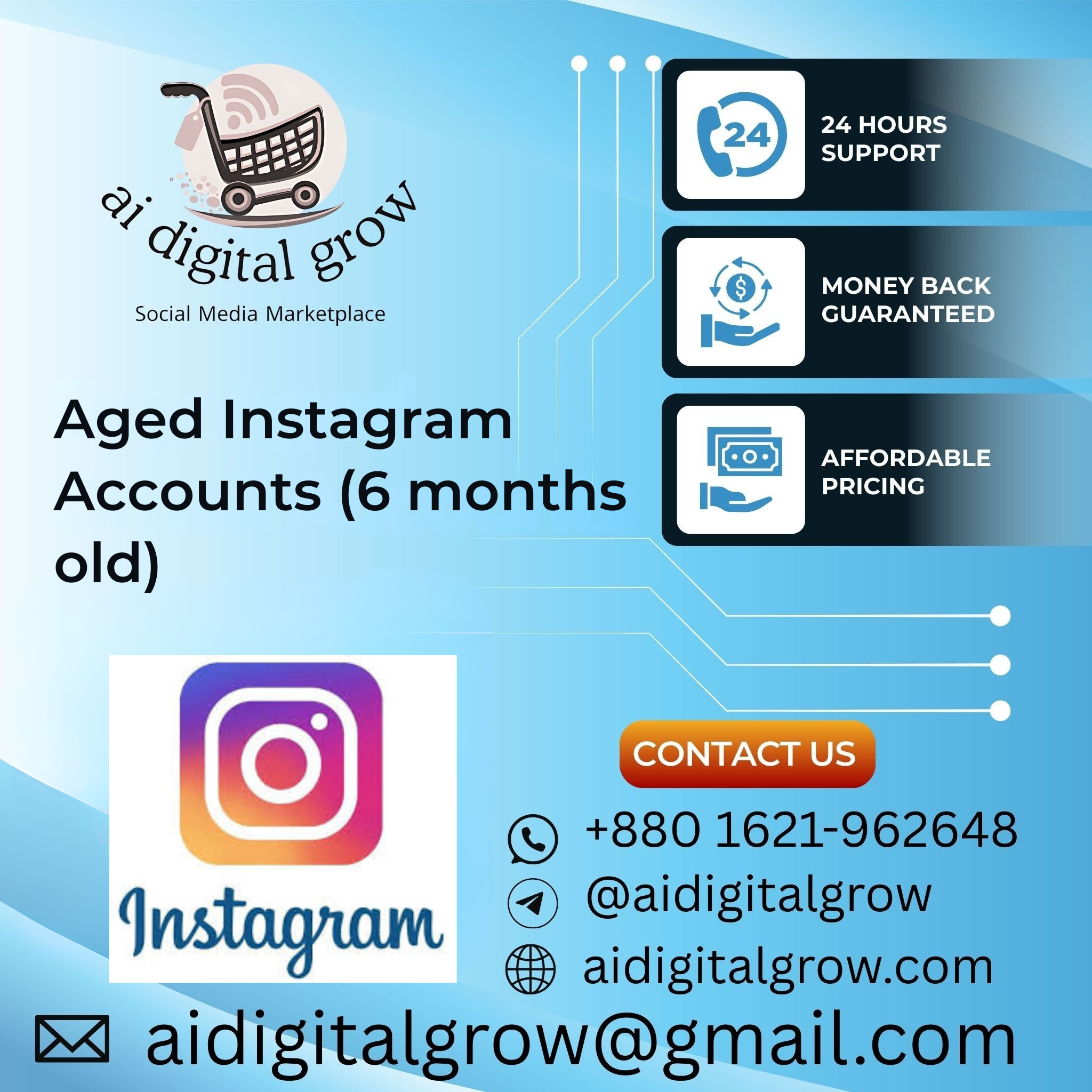 Aged Instagram Accounts